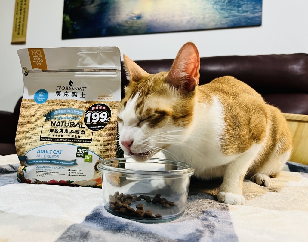 S__4047340.jpg