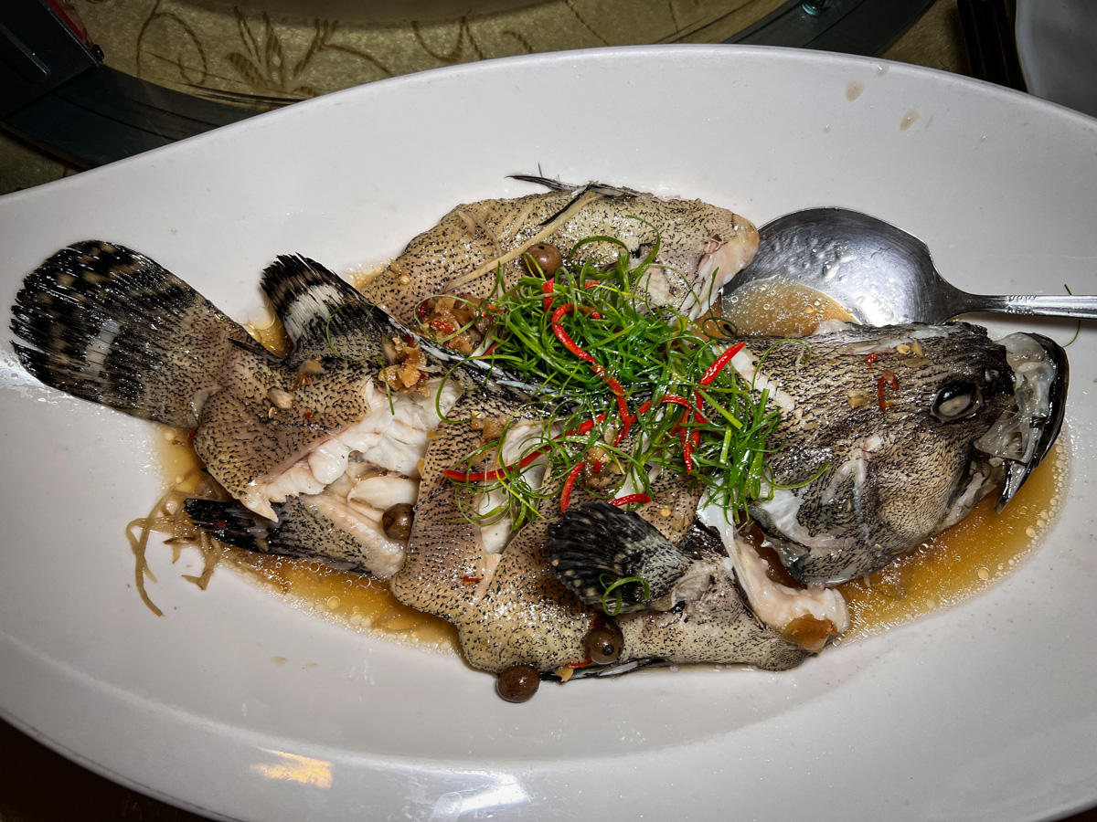 【龍哥斯特】花蓮海鮮餐廳美食推薦,海洋主廚愛爾文的精湛手藝,嚴選活海鮮的在地食材,花蓮人氣聚會餐廳首選! - 第17張圖