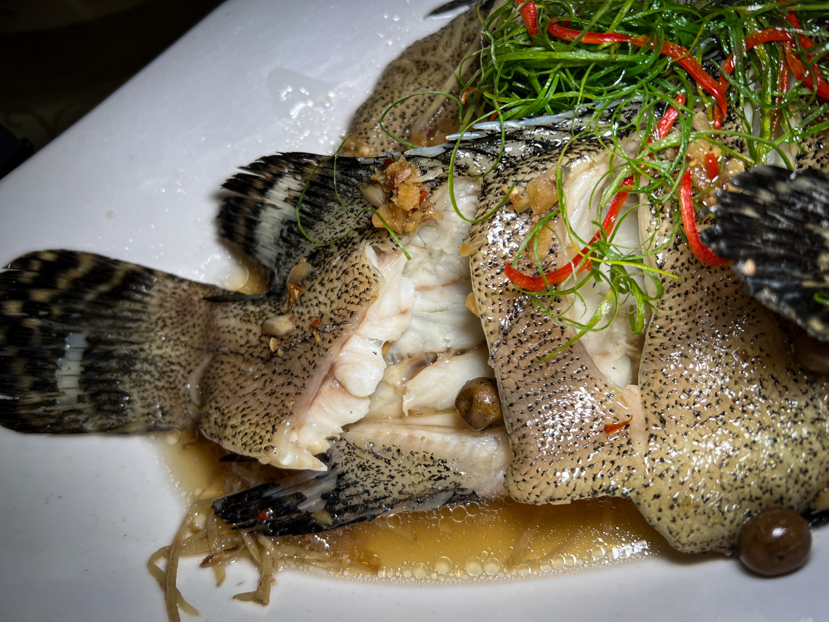 【龍哥斯特】花蓮海鮮餐廳美食推薦,海洋主廚愛爾文的精湛手藝,嚴選活海鮮的在地食材,花蓮人氣聚會餐廳首選! - 第18張圖
