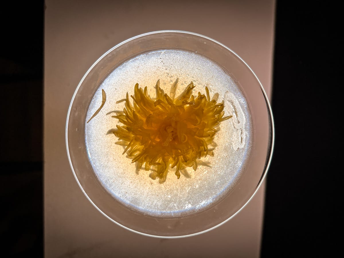 【Coming Home Bar】宜蘭網美酒吧推薦,打造宜蘭最Chill的喝酒聚會新地標,特色調酒如藝術般創作,人氣提拉米蘇限量供應! - 第20張圖