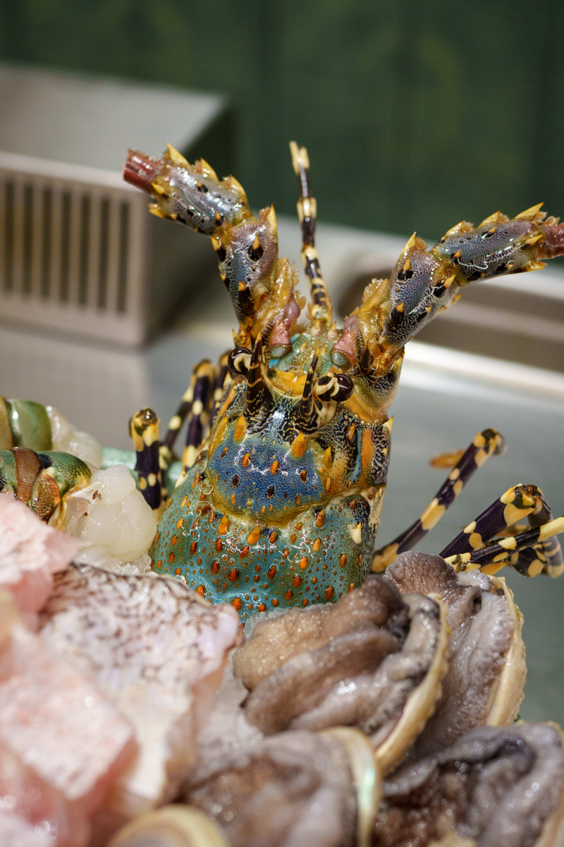 【DOWA 道和日式鐵板燒】台北大安區必吃美食推薦，2280元起大啖頂級日式鐵板燒，冬季新菜單！把人生故事放進料理裡