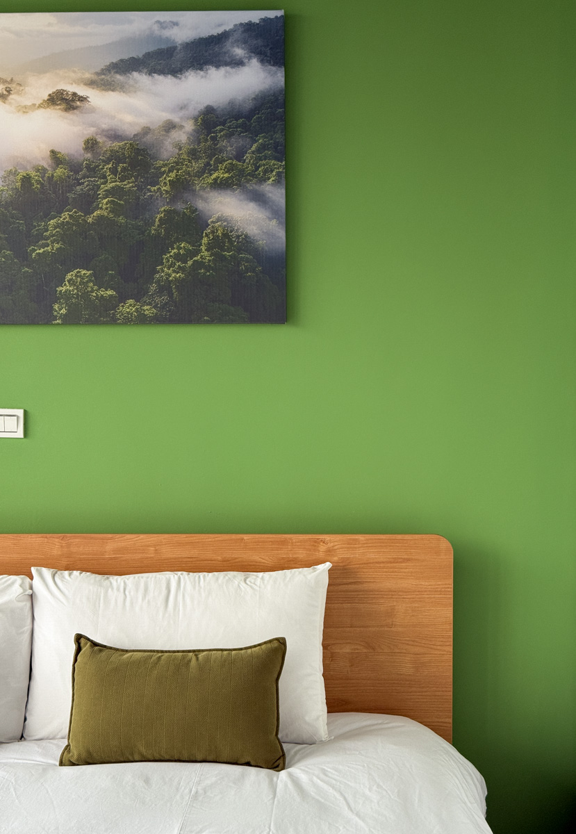 【吾庭文旅】花蓮市區質感電梯民宿推薦，7大房型唯美設計，入住享免費早餐，24小時交誼廳附免費咖啡點心